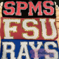 Faux Chenille School Spirit Shirts